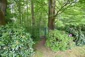 Ihr persönlicher Zugang zum anliegenden Wald - Einfamilienhaus mit 160,00 m&sup2; in Hamburg zum Kaufen