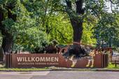 Bild 13 - 