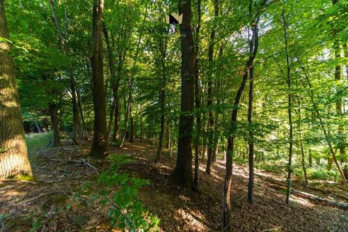Grundstücksumgebung - Grundstück in Stuttgart Heumaden / Lederberg zum Kaufen