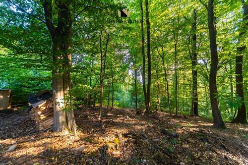 Grundstücksumgebung - 