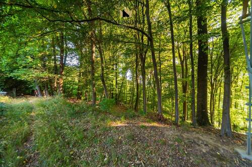 Grundstücksumgebung - 