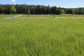 Lavendelstr 5 - Sonniges Baugrundstück mit Blick ins Grüne – ruhige Lage, Neubaugebiet, Top Infrastruktur