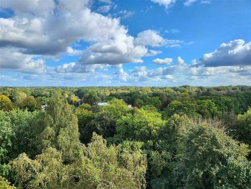 Blick vom Dachboden - 