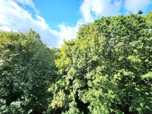 Balkon / Loggia mit Blick ins Grüne - 2 Zimmer Etagenwohnung zum Kaufen in Hamburg