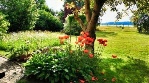 Garten Richtung Feld - 