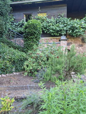 Gartenhaus vom Garten aus - 