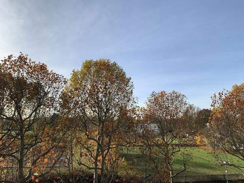 Blick über die Felder - 