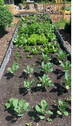 Bild 22 - 