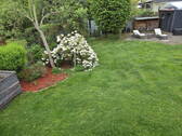 Blick auf den Garten vom Haus - 