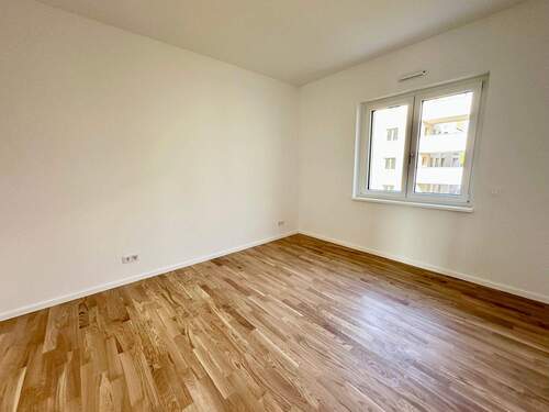 Zimmer - 