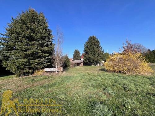 Hinterer Bereich des Wohnhauses - Wiese - 
