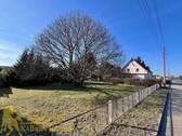 Südansicht - Bauland mit Edelkastanie - Einfamilienhaus mit 144,00 m&sup2; in Groß Düben zum Kaufen
