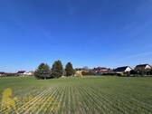West-Ansicht vom Feld aus - 