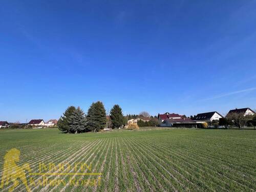 West-Ansicht vom Feld aus - 