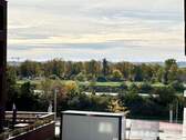 Ausblick - 