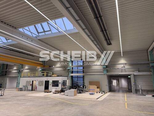mit Meisterbüro in der Halle - 