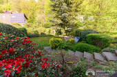 Blick in den Garten - 
