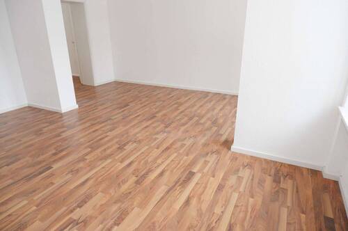 Zimmer1 - 