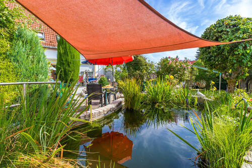 Teich - 