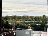 Ausblick - 