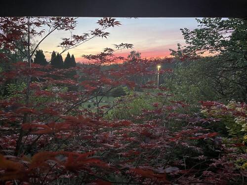 Bild 2 - 4 Zimmer Einfamilienhaus zum Kaufen in Tosterglope (Ventschau)