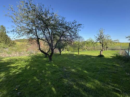 Gartengrundstück - 