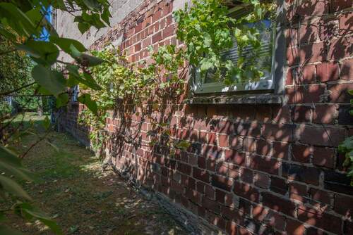 Seitlich der Scheune - 