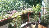 Balkon/Garten - 