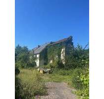 Großes schön gelegenes Grundtsück nahe an der Prims in Wadern-Büschfeld zu verkaufen