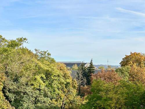 Ausblick - 