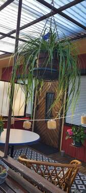 Terrasse - 