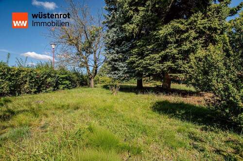 Garten :Baugrundstück 1 - 