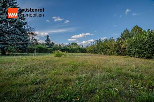 Garten :Baugrundstück - 