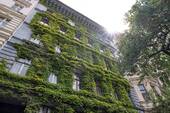 Bild 13 - 