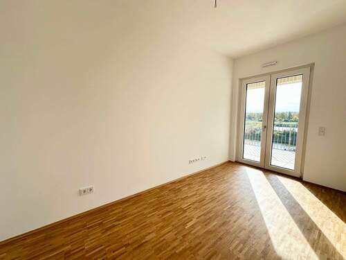 Zimmer - 