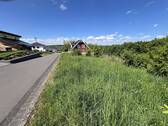 IMG_1473 - 