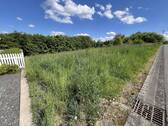 IMG_1469 - 