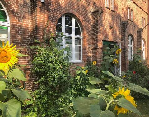 Bild 11 - 