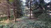 Garten / Wald - 