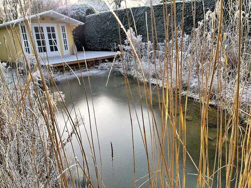 Teich, Gartenhaus, Terrasse - 