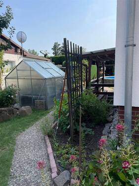 Gewächshaus - 