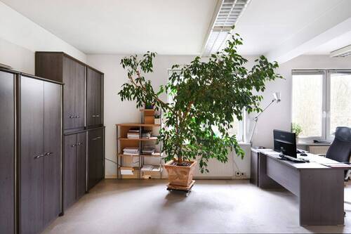 Bild 3 - 5 Zimmer Einfamilienhaus in Berlin