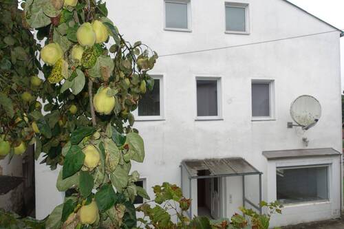 Hausansicht - Rückseite - Zweifamilienhaus mit Potenzial in idyllischer Hanglage von Buchbach