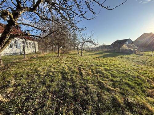 Blick Richtung Bauland - 