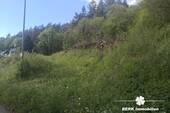 Bild 1 - BERK Immobilien - Naturnahes sonniges Baugrundstück - Platz für zwei Wohnhäuser in RippbergWalldürn