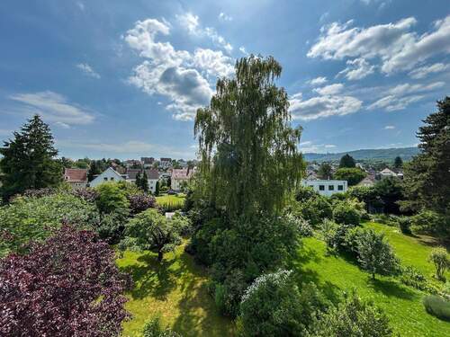 Blick zum Herkules vom DG - 