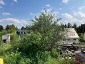 IMG_0249 - 