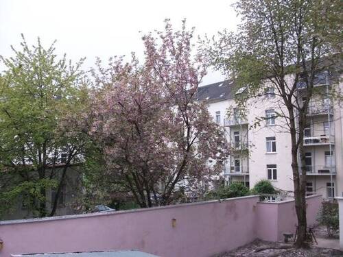 Ausblick - 
