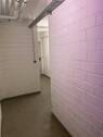 trockener Keller - 