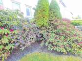 IMG_2336.JPG - SOFORT FREI: Genießen Sie den Sommer in Ihrem neuen großen Garten in Mögeldorf